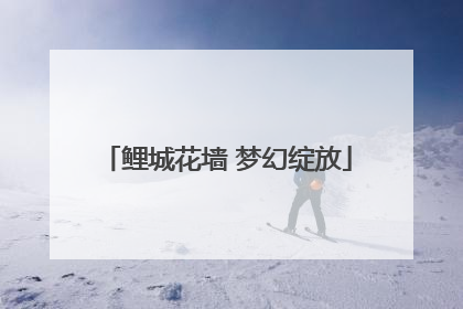 鲤城花墙 梦幻绽放