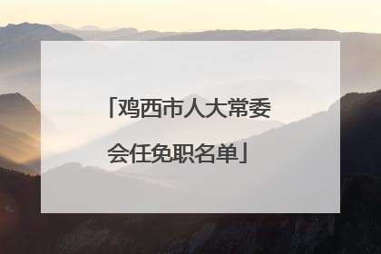 鸡西市人大常委会任免职名单