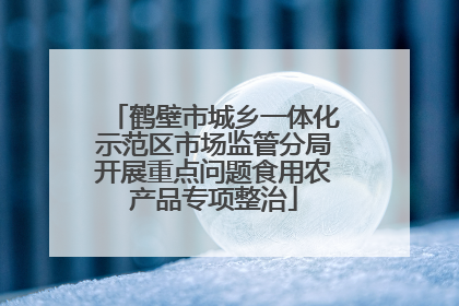 鹤壁市城乡一体化示范区市场监管分局开展重点问题食用农产品专项整治