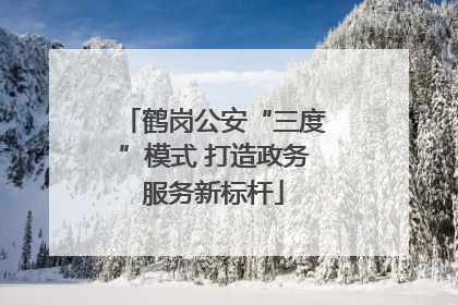 鹤岗公安“三度”模式 打造政务服务新标杆