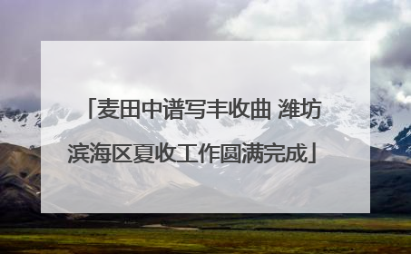 麦田中谱写丰收曲 潍坊滨海区夏收工作圆满完成