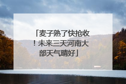 麦子熟了快抢收！未来三天河南大部天气晴好