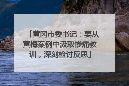 黄冈市委书记：要从黄梅案例中汲取惨痛教训，深刻检讨反思