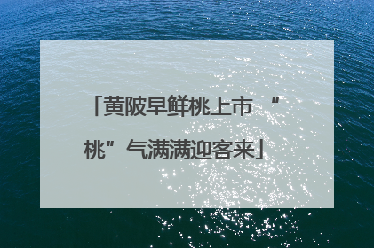 黄陂早鲜桃上市 “桃”气满满迎客来