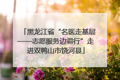 黑龙江省“名医走基层——志愿服务边疆行”走进双鸭山市饶河县