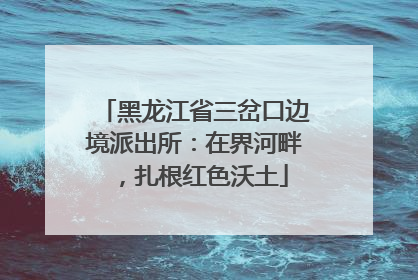 黑龙江省三岔口边境派出所：在界河畔，扎根红色沃土