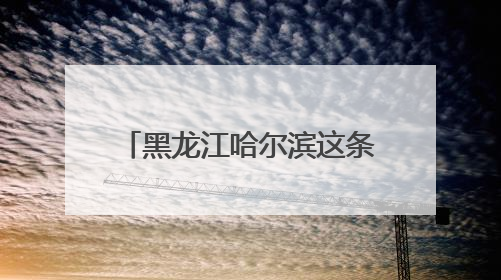 黑龙江哈尔滨这条660米“网红街道”，日均万名食客共享“平安滋味”