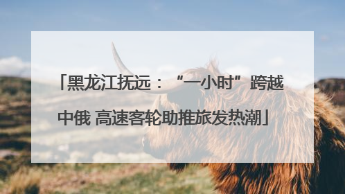黑龙江抚远：“一小时”跨越中俄 高速客轮助推旅发热潮
