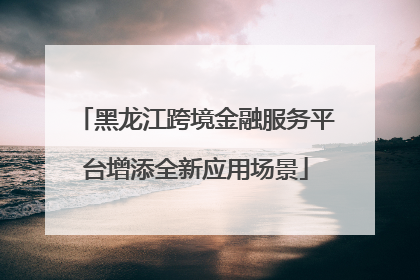 黑龙江跨境金融服务平台增添全新应用场景
