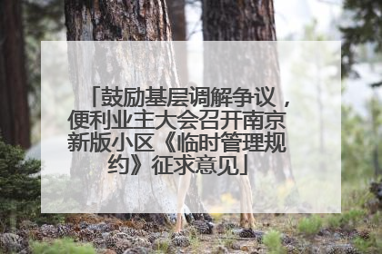 鼓励基层调解争议，便利业主大会召开南京新版小区《临时管理规约》征求意见