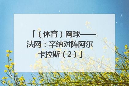 （体育）网球——法网：辛纳对阵阿尔卡拉斯（2）