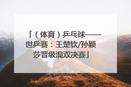 （体育）乒乓球——世乒赛：王楚钦/孙颖莎晋级混双决赛