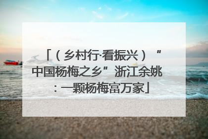（乡村行·看振兴）“中国杨梅之乡”浙江余姚：一颗杨梅富万家