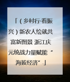 （乡村行·看振兴）新农人绘就共富新图景 浙江庆元统战力量赋能“海拔经济”