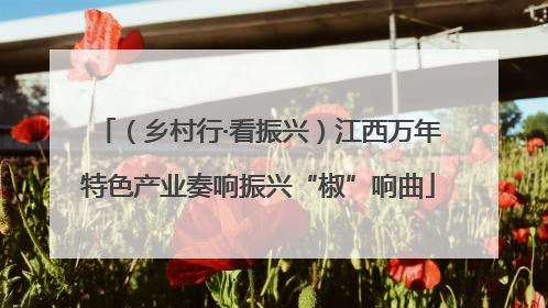 （乡村行·看振兴）江西万年特色产业奏响振兴“椒”响曲