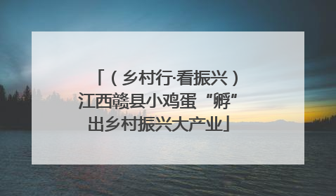（乡村行·看振兴）江西赣县小鸡蛋“孵”出乡村振兴大产业