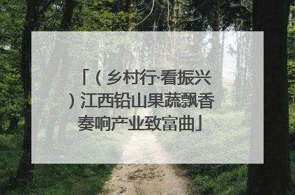 （乡村行·看振兴）江西铅山果蔬飘香 奏响产业致富曲