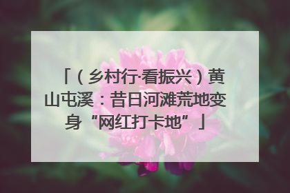 （乡村行·看振兴）黄山屯溪：昔日河滩荒地变身“网红打卡地”