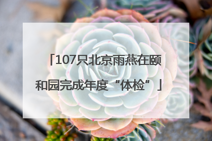 107只北京雨燕在颐和园完成年度“体检”