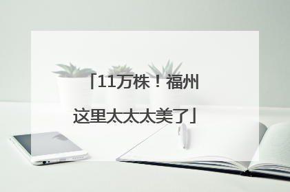 11万株！福州这里太太太美了