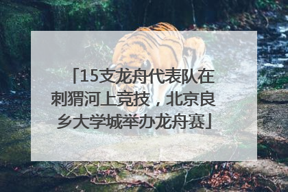 15支龙舟代表队在刺猬河上竞技，北京良乡大学城举办龙舟赛