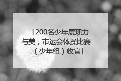 200名少年展现力与美，市运会体操比赛（少年组）收官