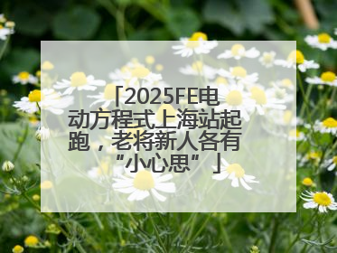 2025FE电动方程式上海站起跑，老将新人各有“小心思”