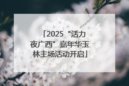2025“活力夜广西”嘉年华玉林主场活动开启