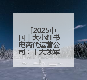 2025中国十大小红书电商代运营公司：十大领军企业引领社交电商新风向