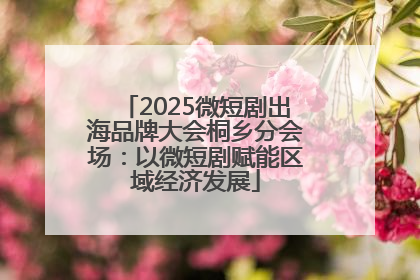 2025微短剧出海品牌大会桐乡分会场：以微短剧赋能区域经济发展