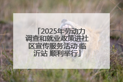 2025年劳动力调查和就业政策进社区宣传服务活动·临沂站 顺利举行