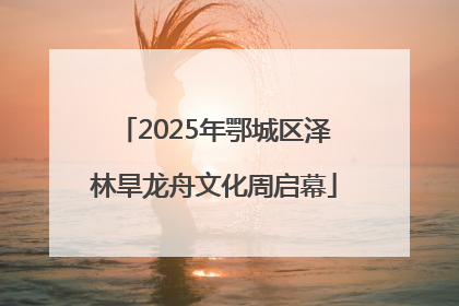 2025年鄂城区泽林旱龙舟文化周启幕