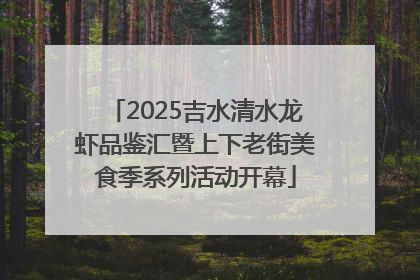 2025吉水清水龙虾品鉴汇暨上下老街美食季系列活动开幕