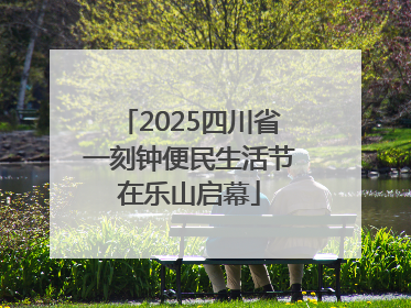 2025四川省一刻钟便民生活节在乐山启幕
