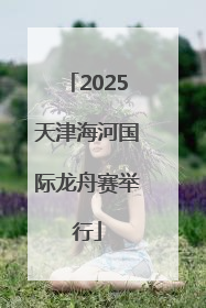 2025天津海河国际龙舟赛举行
