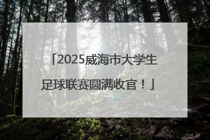 2025威海市大学生足球联赛圆满收官！