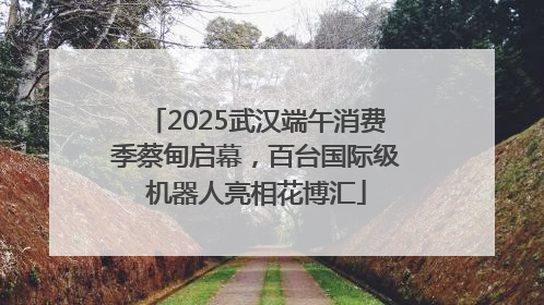 2025武汉端午消费季蔡甸启幕，百台国际级机器人亮相花博汇