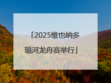 2025维也纳多瑙河龙舟赛举行