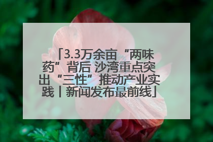 3.3万余亩“两味药”背后 沙湾重点突出“三性”推动产业实践丨新闻发布最前线