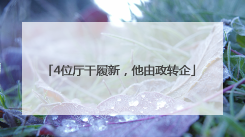 4位厅干履新，他由政转企