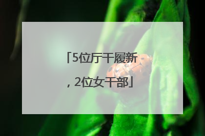 5位厅干履新，2位女干部