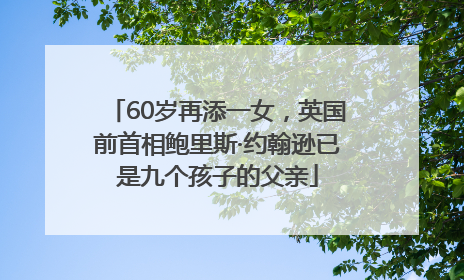60岁再添一女，英国前首相鲍里斯·约翰逊已是九个孩子的父亲