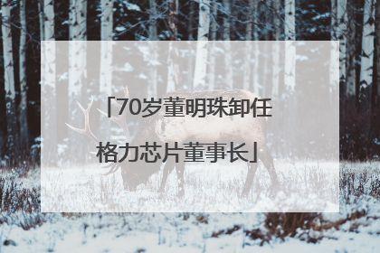 70岁董明珠卸任格力芯片董事长