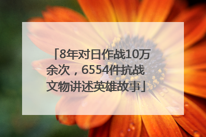 8年对日作战10万余次，6554件抗战文物讲述英雄故事