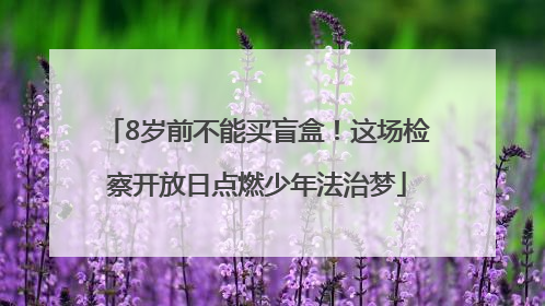 8岁前不能买盲盒！这场检察开放日点燃少年法治梦