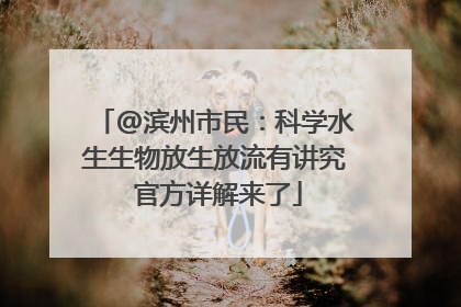 @滨州市民：科学水生生物放生放流有讲究 官方详解来了