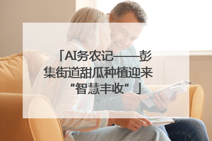 AI务农记——彭集街道甜瓜种植迎来“智慧丰收”
