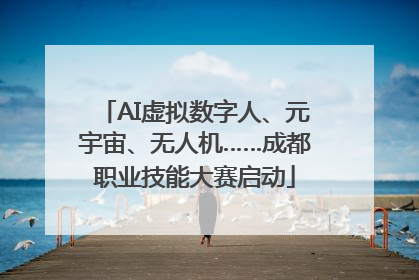 AI虚拟数字人、元宇宙、无人机……成都职业技能大赛启动