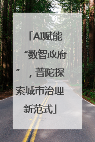 AI赋能“数智政府”，普陀探索城市治理新范式