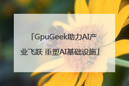 GpuGeek助力AI产业飞跃 重塑AI基础设施